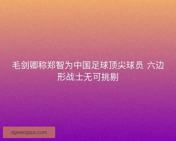 毛剑卿称郑智为中国足球顶尖球员 六边形战士无可挑剔 毛剑卿称郑智为中国足球顶尖球员 六边形战士无可挑剔