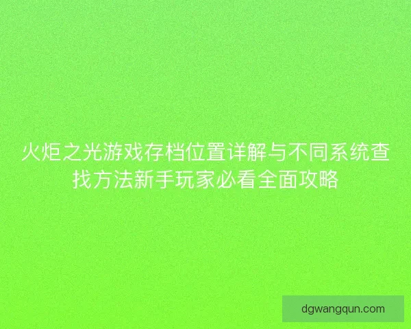 火炬之光游戏存档位置详解与不同系统查找方法新手玩家必看全面攻略